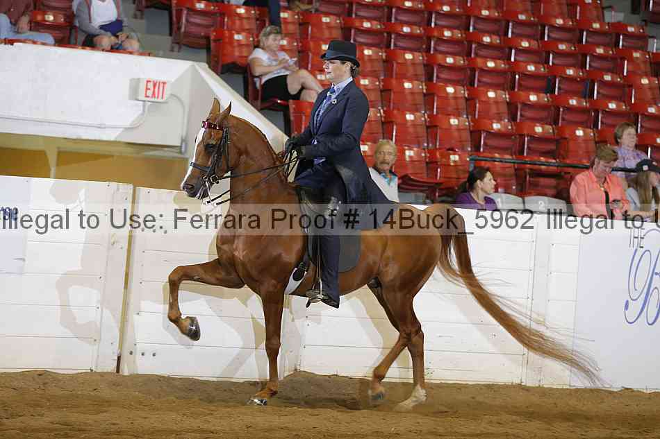 Proof 14buck_5962