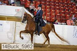 14buck_5962 proof