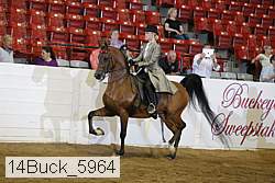 14buck_5964 proof
