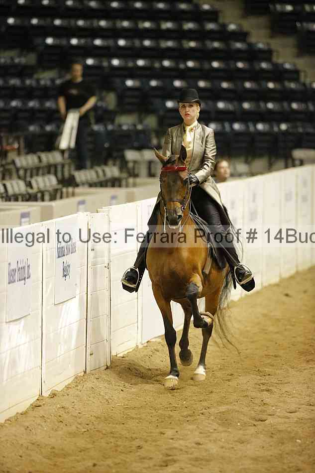Proof 14buck_5966