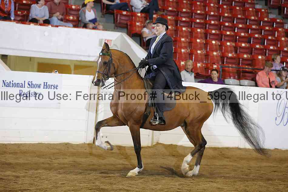 Proof 14buck_5967