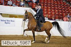 14buck_5967 proof