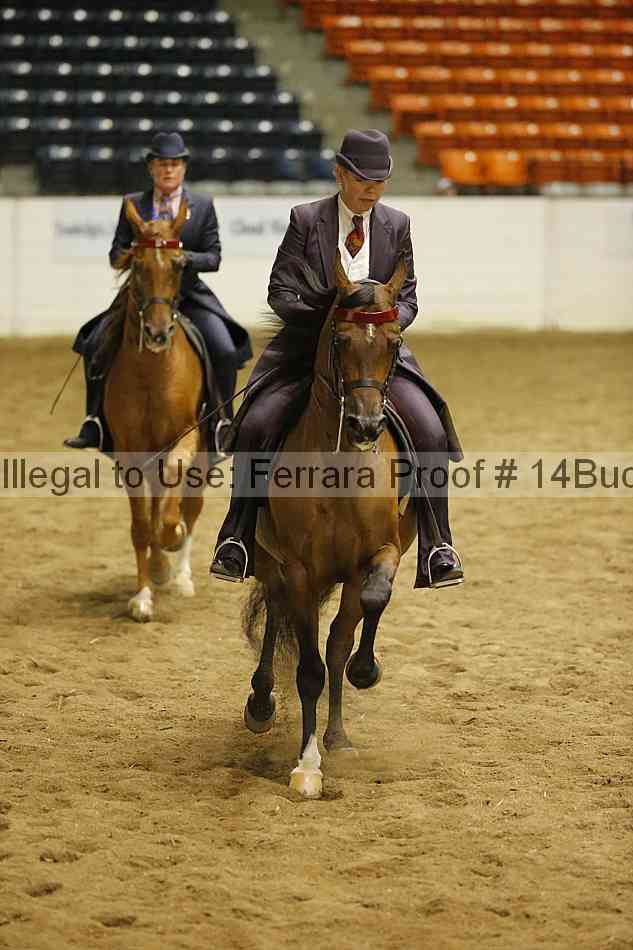 Proof 14buck_5968