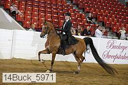 14buck_5971 proof