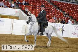 14buck_5972 proof