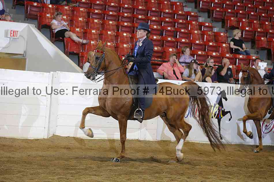 Proof 14buck_5973