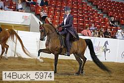 14buck_5974 proof
