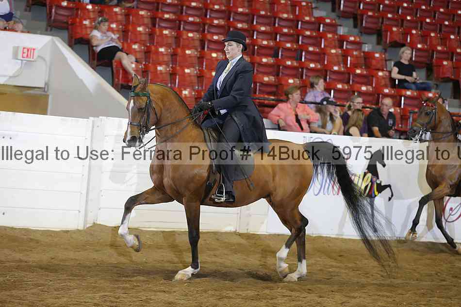 Proof 14buck_5975