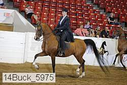 14buck_5975 proof