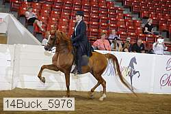 14buck_5976 proof