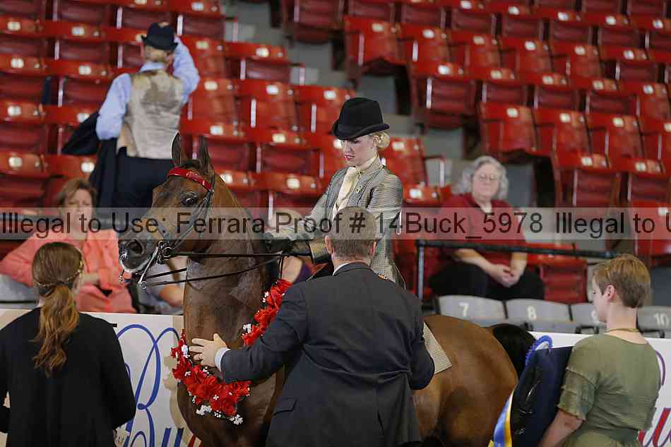 Proof 14buck_5978