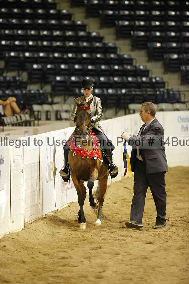 Proof 14buck_5979