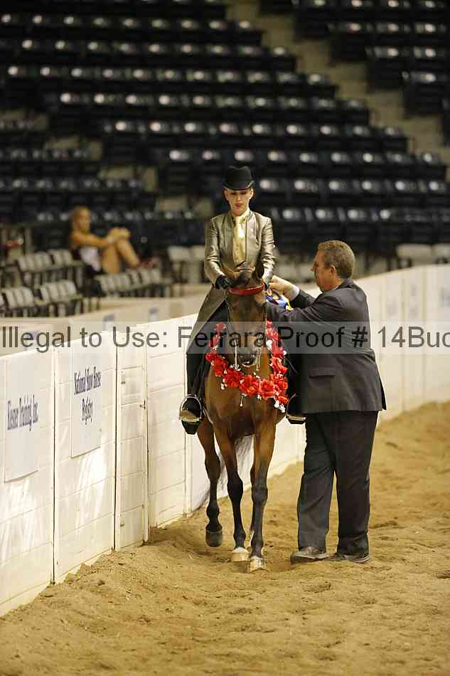 Proof 14buck_5980