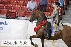 14buck_5981 proof