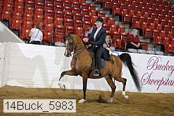 14buck_5983 proof