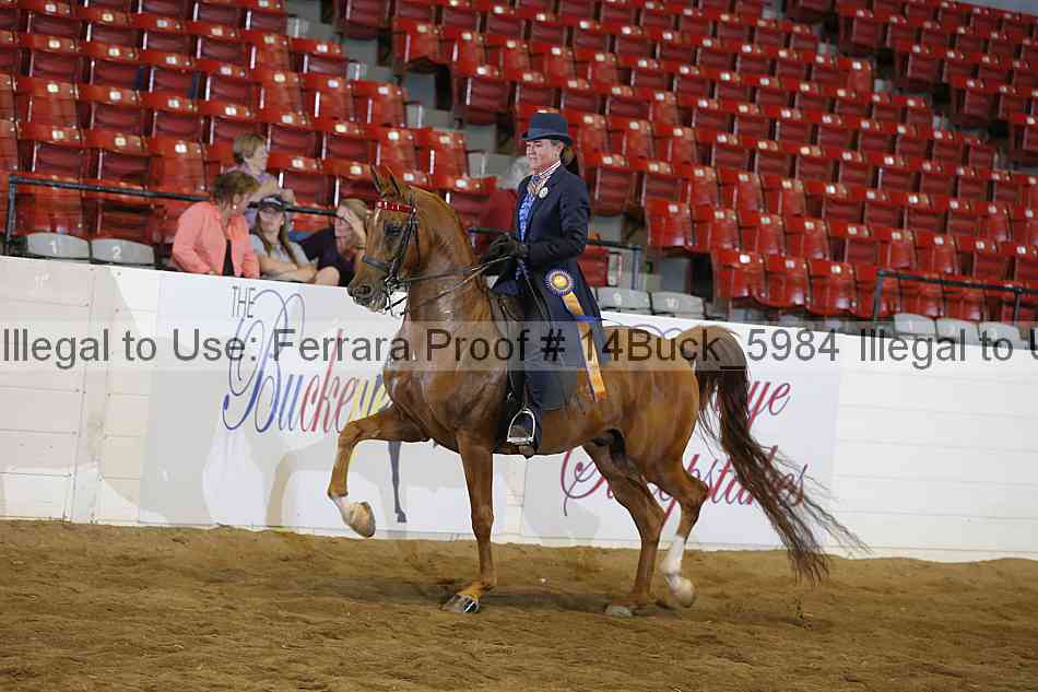 Proof 14buck_5984