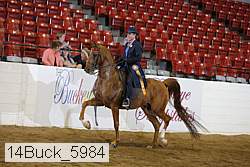 14buck_5984 proof