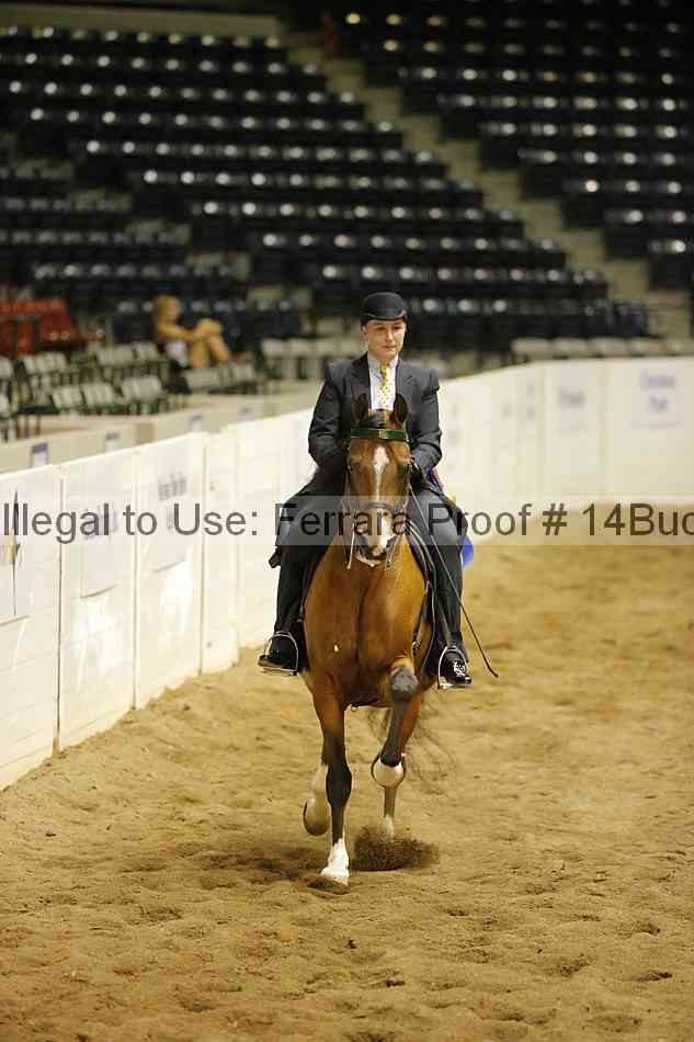 Proof 14buck_5985