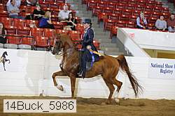 14buck_5986 proof