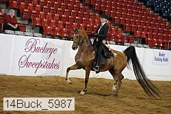 14buck_5987 proof