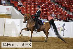 14buck_5988 proof