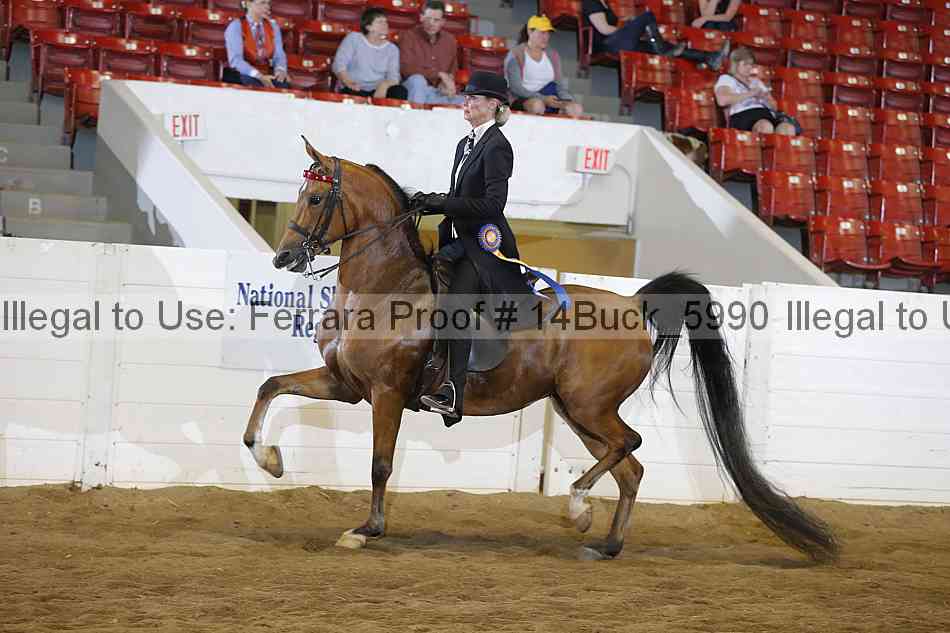 Proof 14buck_5990