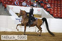 14buck_5990 proof