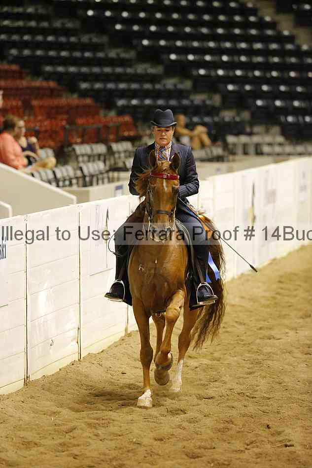 Proof 14buck_5991