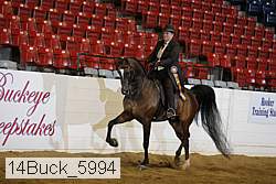 14buck_5994 proof