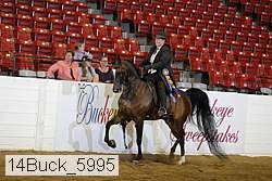14buck_5995 proof