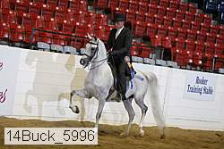 14buck_5996 proof