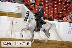 14buck_5999 proof