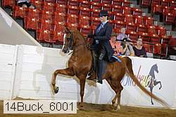 14buck_6001 proof