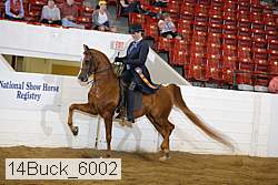 14buck_6002 proof