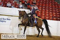 14buck_6005 proof