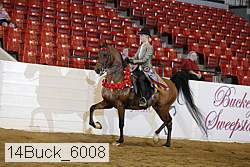 14buck_6008 proof