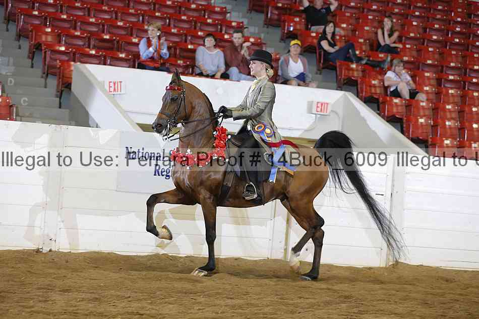 Proof 14buck_6009