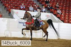 14buck_6009 proof