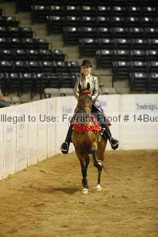 Proof 14buck_6010