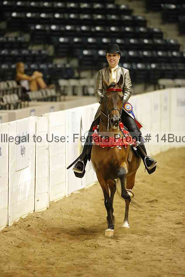 Proof 14buck_6011