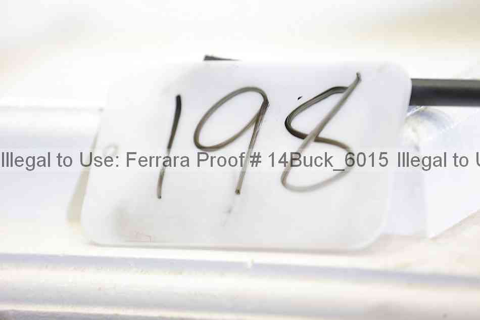 Proof 14buck_6015