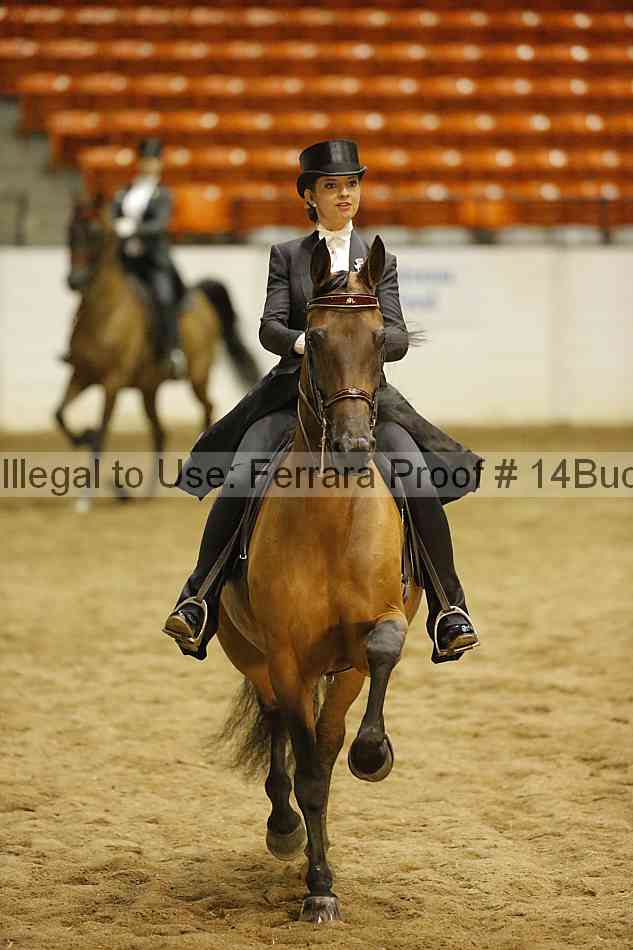 Proof 14buck_6019