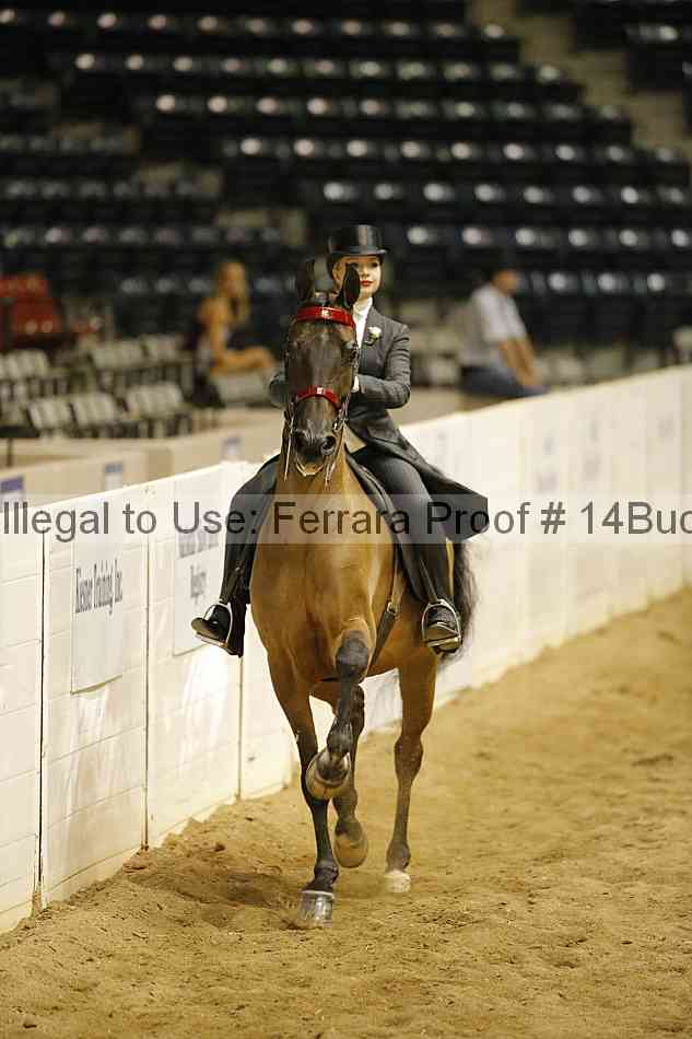 Proof 14buck_6021
