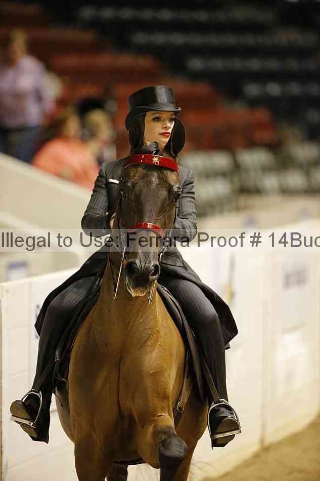 Proof 14buck_6023