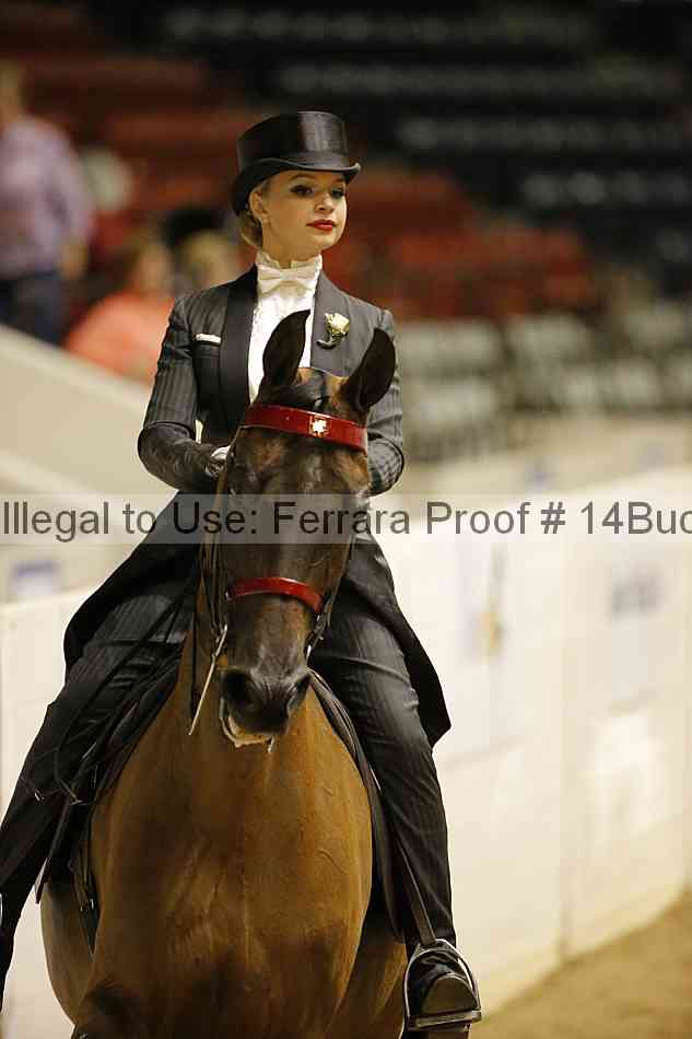 Proof 14buck_6024