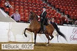 14buck_6025 proof
