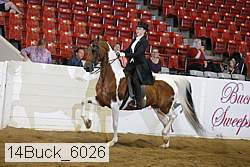 14buck_6026 proof
