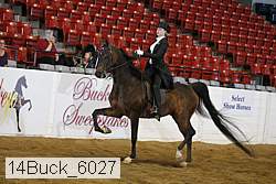 14buck_6027 proof