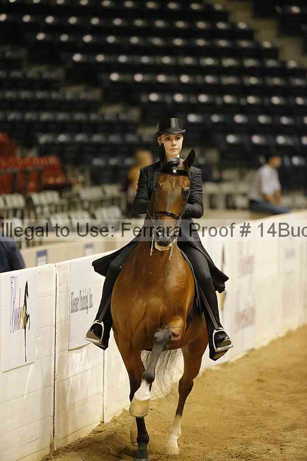 Proof 14buck_6028