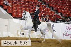 14buck_6031 proof